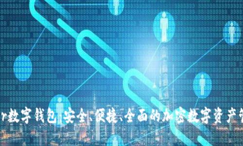 DPPower数字钱包：安全、便捷、全面的加密数字资产管理工具