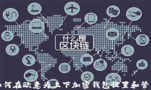 
如何在欧意为上下加密钱包设置和管理
