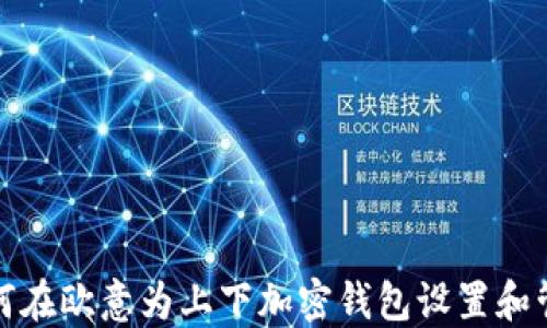
如何在欧意为上下加密钱包设置和管理