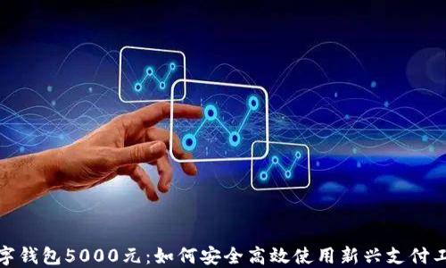 
数字钱包5000元：如何安全高效使用新兴支付工具