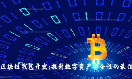 高端区块链钱包开发：提升数字资产安全性的最佳选择