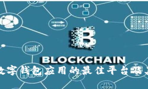 探讨数字钱包应用的最佳平台及其优势
