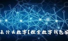 钱包有漏洞代表什么数字？探索数字钱包安全的