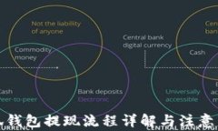 小狐钱包提现流程详解与注意事项