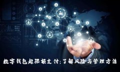 数字钱包超限额支付：了解风险与管理方法