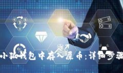 如何在小狐钱包中存入屎币：详细步骤与技巧