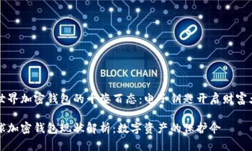 全世界加密钱包的千姿百态：电子钥匙开启财富大门

全球加密钱包现状解析：数字资产的保护伞