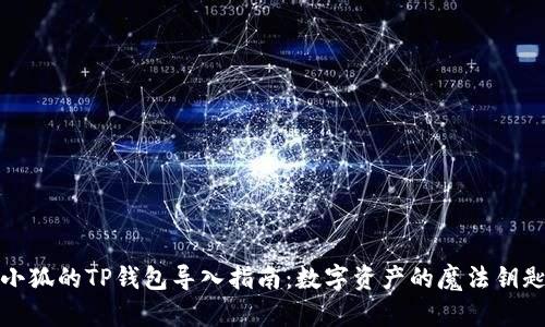 小狐的TP钱包导入指南：数字资产的魔法钥匙