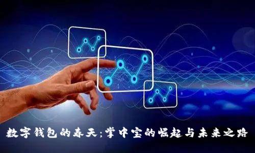 数字钱包的春天：掌中宝的崛起与未来之路