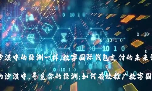 就像撒哈拉沙漠中的绿洲一样，数字国际钱包支付的未来让人心旷神怡

在数字支付的沙漠中，寻觅你的绿洲：如何有效推广数字国际钱包