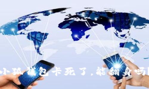 小狐钱包卡死了，能翻身吗？