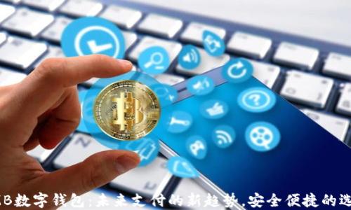 
RMB数字钱包：未来支付的新趋势，安全便捷的选择