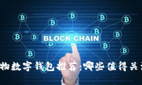 实物数字钱包推荐：哪些值得关注？