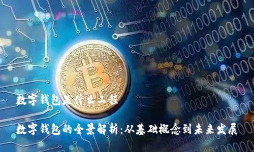 数字钱包是什么工程

数字钱包的全景解析：从基础概念到未来发展