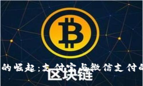 :数字钱包的崛起：支付宝与微信支付的比较分析