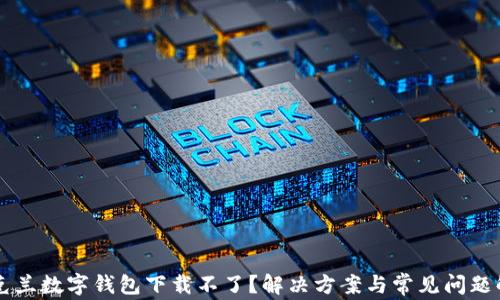 
乌克兰数字钱包下载不了？解决方案与常见问题解析