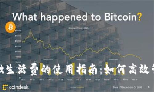 数字钱包基础生活费的使用指南：如何高效管理日常开支