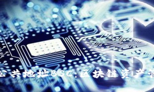 小狐钱包公共地址BSC:区块链资产管理新选择