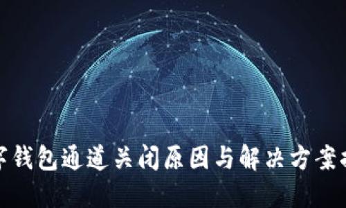 数字钱包通道关闭原因与解决方案揭秘