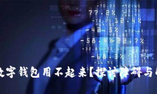 为什么数字钱包用不起来？探讨障碍与解决方案