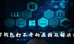 数字钱包打不开的原因及