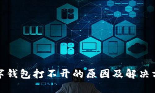 数字钱包打不开的原因及解决方法