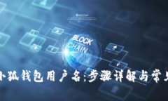 如何设置小狐钱包用户名：步骤详解与常见问题