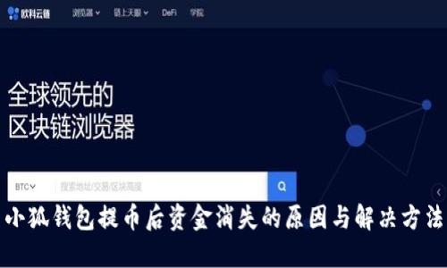 小狐钱包提币后资金消失的原因与解决方法